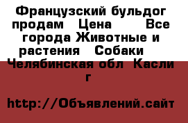 Французский бульдог продам › Цена ­ 1 - Все города Животные и растения » Собаки   . Челябинская обл.,Касли г.